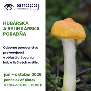 hubarska a bylinkarska poradna 2026.jpg